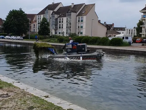 En vidéo : cet engin enlève les algues du port de Dijon